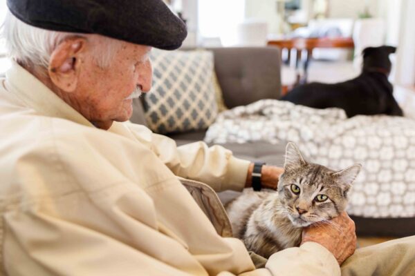 Älterer Mann mit seiner Hauskatze in einer häuslichen Umgebung.